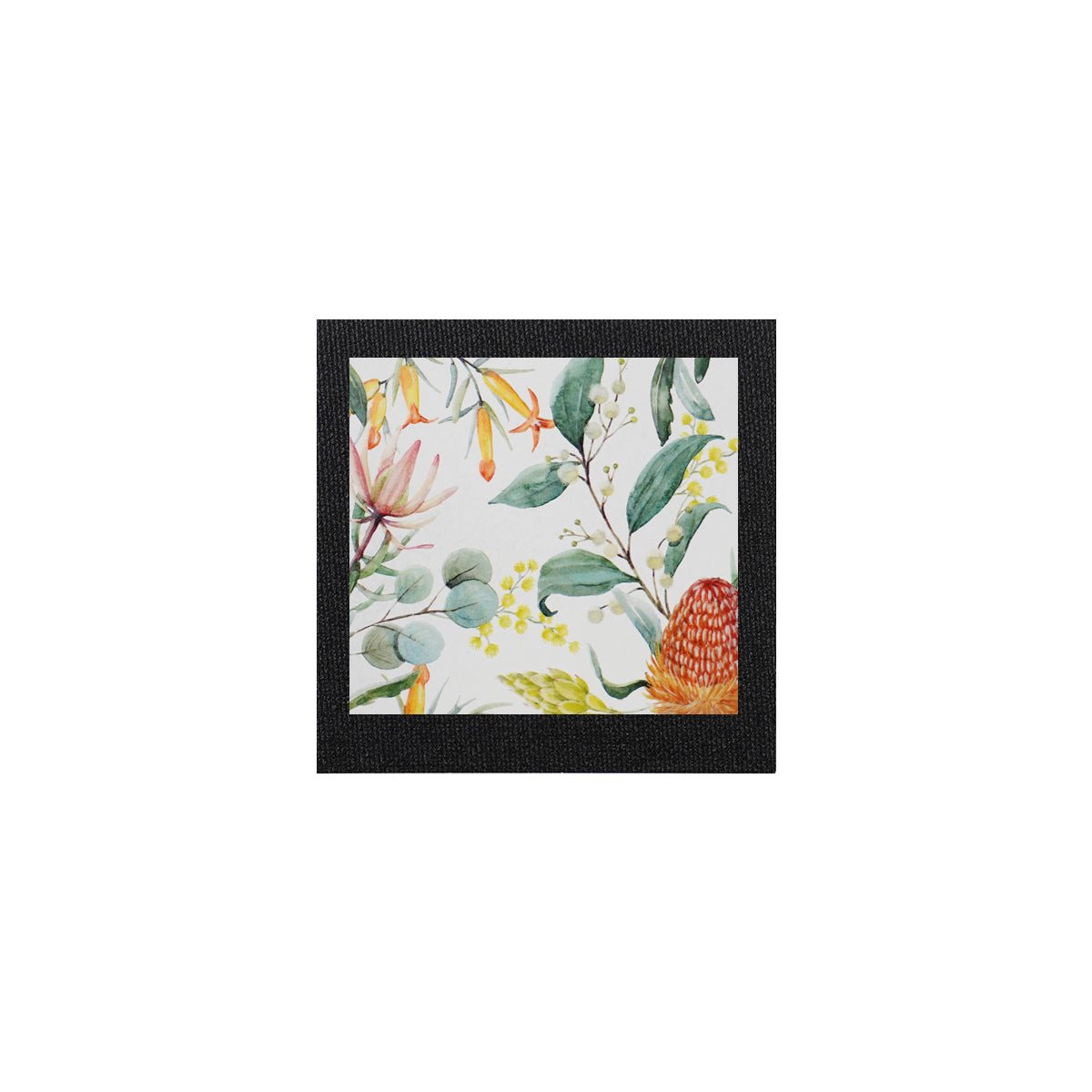 Canvas Magnet Australian Native Flora