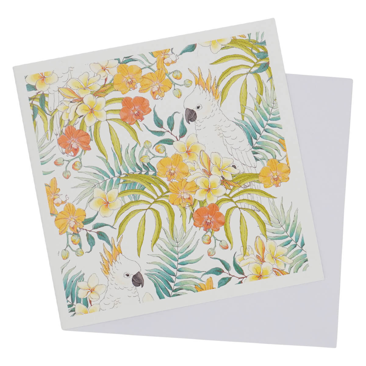 Greeting Card White Cockatoo