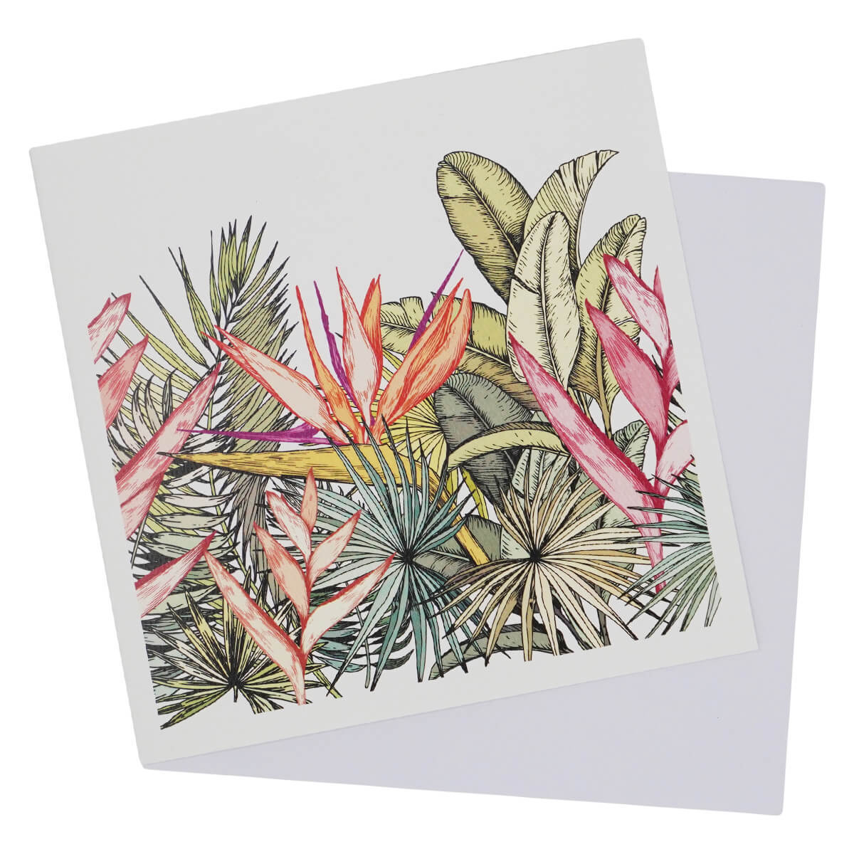 Greeting Card Bird of Paradise Plant