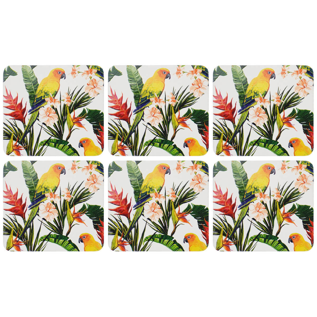 Coasters Multicolour Parrot | Set of 6
