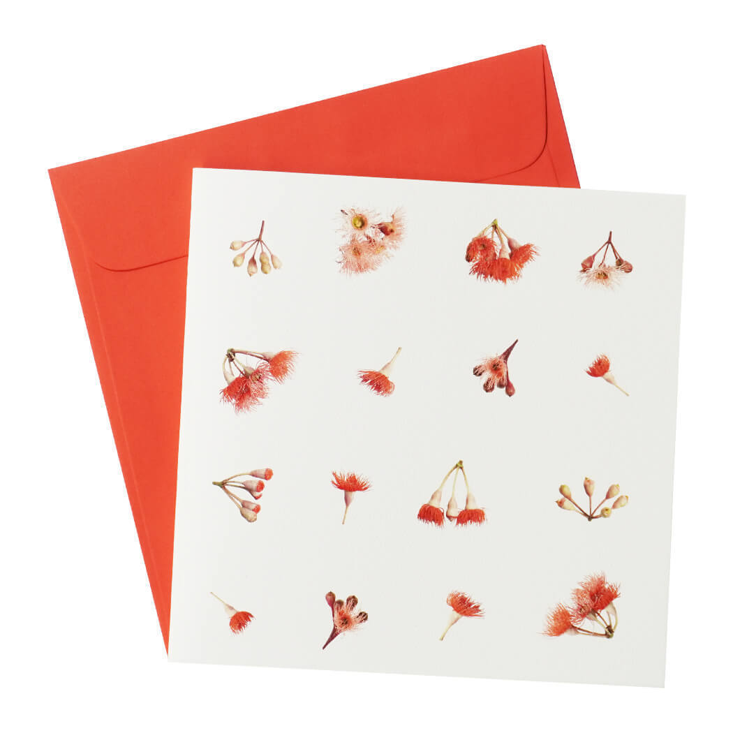 Greeting Card Gum Leaves & Flora 02