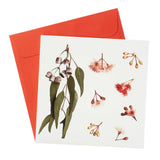 Greeting Card Gum Leaves & Flora 01