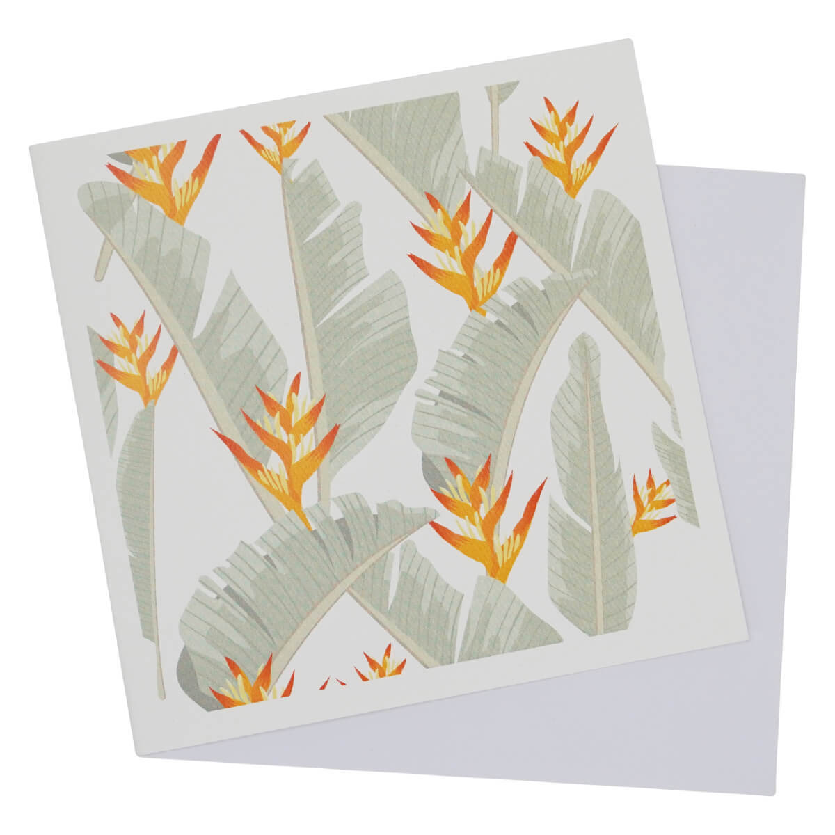 Greeting Card Tropical Heliconia Plant