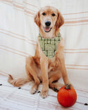 Doggie Bandanas - Gari Dari Designs